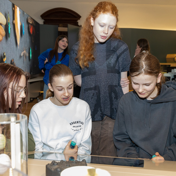 Girls&#39; Day im Zeichen von Wissenschaft und Forschung: Bildungsminister begleitet Schülerinnen ins Naturhistorische Museum - Bild Nr. 12238