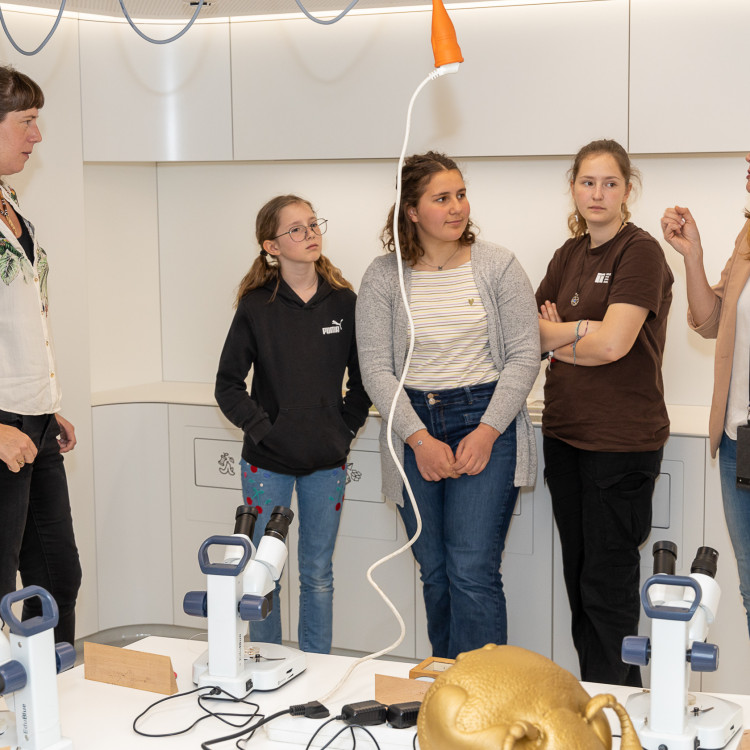 Girls&#39; Day im Zeichen von Wissenschaft und Forschung: Bildungsminister begleitet Schülerinnen ins Naturhistorische Museum - Bild Nr. 12255
