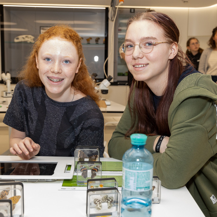 Girls&#39; Day im Zeichen von Wissenschaft und Forschung: Bildungsminister begleitet Schülerinnen ins Naturhistorische Museum - Bild Nr. 12257
