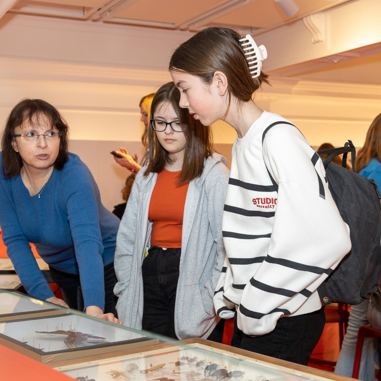 Girls&#39; Day im Zeichen von Wissenschaft und Forschung: Bildungsminister begleitet Schülerinnen ins Naturhistorische Museum - Bild Nr. 12258