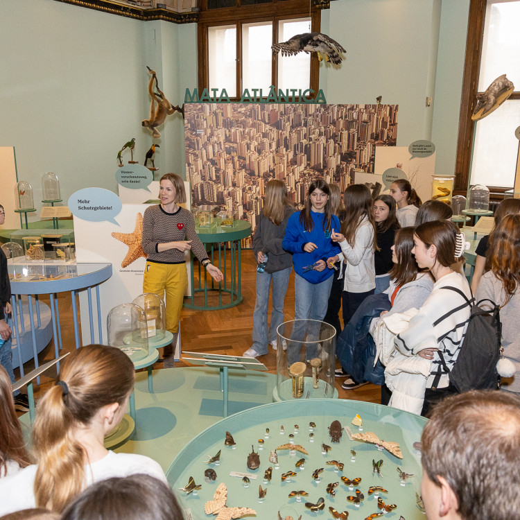 Girls&#39; Day im Zeichen von Wissenschaft und Forschung: Bildungsminister begleitet Schülerinnen ins Naturhistorische Museum - Bild Nr. 12300