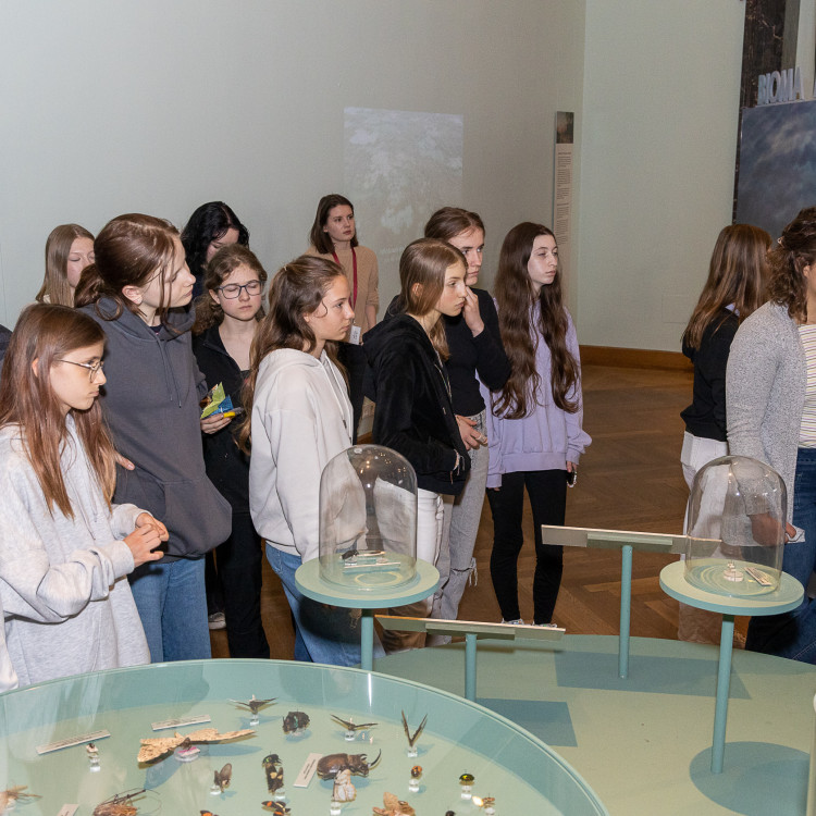 Girls&#39; Day im Zeichen von Wissenschaft und Forschung: Bildungsminister begleitet Schülerinnen ins Naturhistorische Museum - Bild Nr. 12301