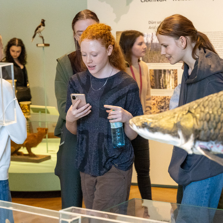 Girls&#39; Day im Zeichen von Wissenschaft und Forschung: Bildungsminister begleitet Schülerinnen ins Naturhistorische Museum - Bild Nr. 12307