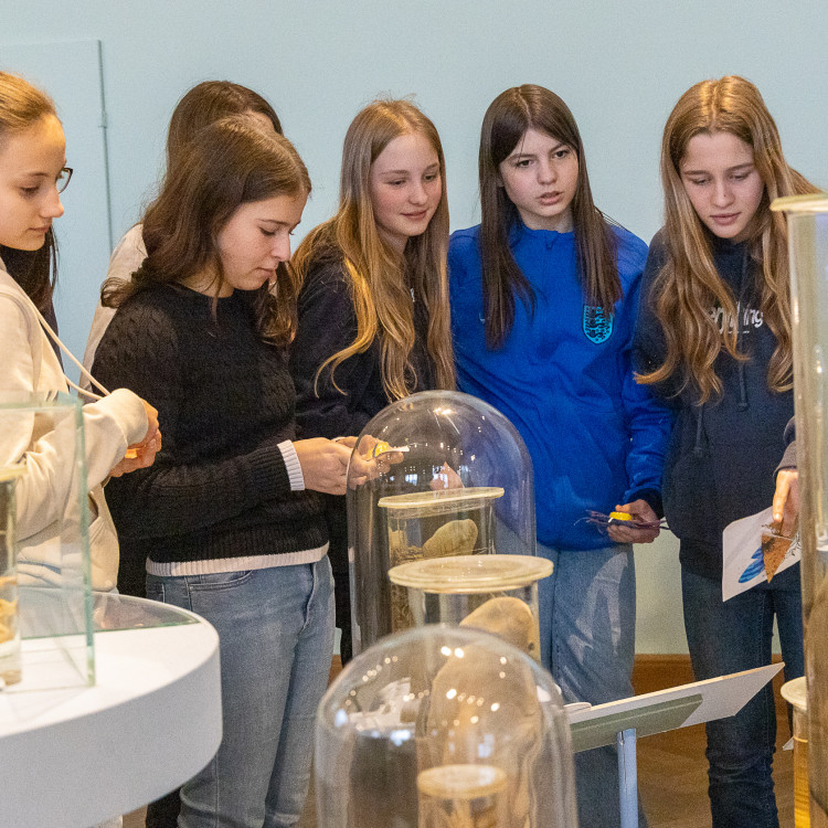 Girls&#39; Day im Zeichen von Wissenschaft und Forschung: Bildungsminister begleitet Schülerinnen ins Naturhistorische Museum - Bild Nr. 12309