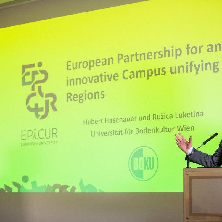 Informations- und Vernetzungsveranstaltung zur Initiative „European Universities“ - Bild Nr. 9940