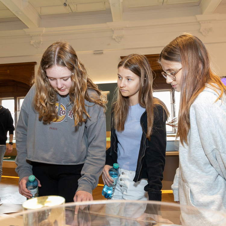 Girls' Day im Zeichen von Wissenschaft und Forschung: Bildungsminister begleitet Schülerinnen ins Naturhistorische Museum - Bild Nr. 12239