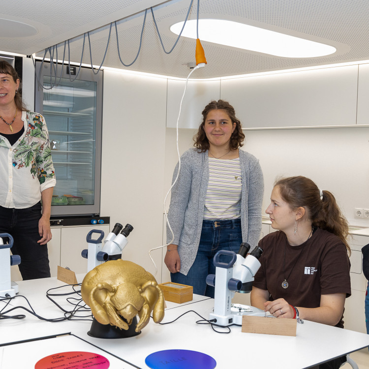 Girls' Day im Zeichen von Wissenschaft und Forschung: Bildungsminister begleitet Schülerinnen ins Naturhistorische Museum - Bild Nr. 12240