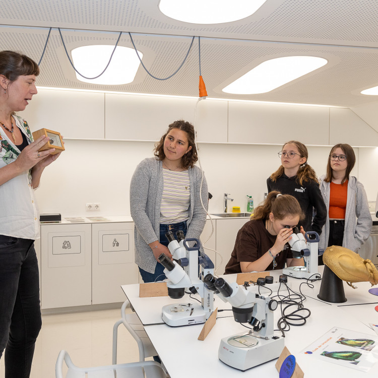 Girls' Day im Zeichen von Wissenschaft und Forschung: Bildungsminister begleitet Schülerinnen ins Naturhistorische Museum - Bild Nr. 12241