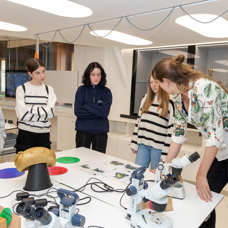 Girls' Day im Zeichen von Wissenschaft und Forschung: Bildungsminister begleitet Schülerinnen ins Naturhistorische Museum - Bild Nr. 12242