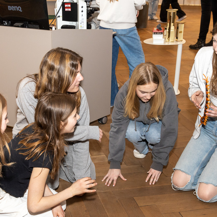 Girls' Day im Zeichen von Wissenschaft und Forschung: Bildungsminister begleitet Schülerinnen ins Naturhistorische Museum - Bild Nr. 12264