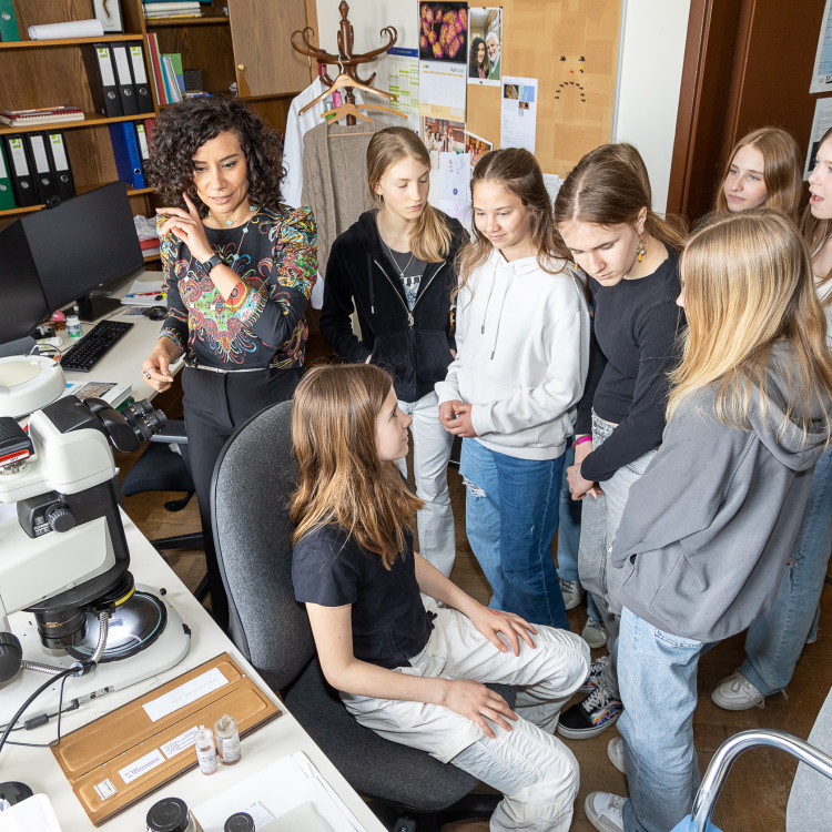 Girls' Day im Zeichen von Wissenschaft und Forschung: Bildungsminister begleitet Schülerinnen ins Naturhistorische Museum - Bild Nr. 12267
