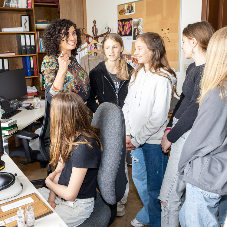 Girls' Day im Zeichen von Wissenschaft und Forschung: Bildungsminister begleitet Schülerinnen ins Naturhistorische Museum - Bild Nr. 12269