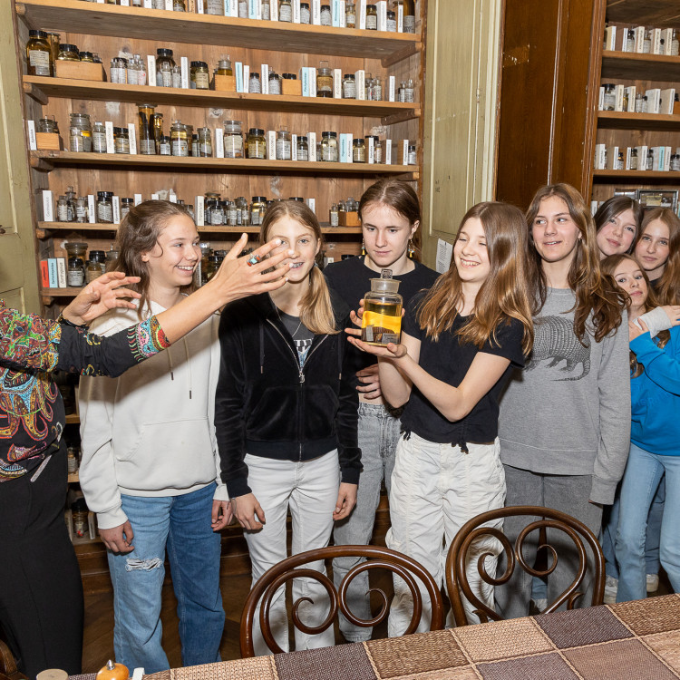 Girls' Day im Zeichen von Wissenschaft und Forschung: Bildungsminister begleitet Schülerinnen ins Naturhistorische Museum - Bild Nr. 12271