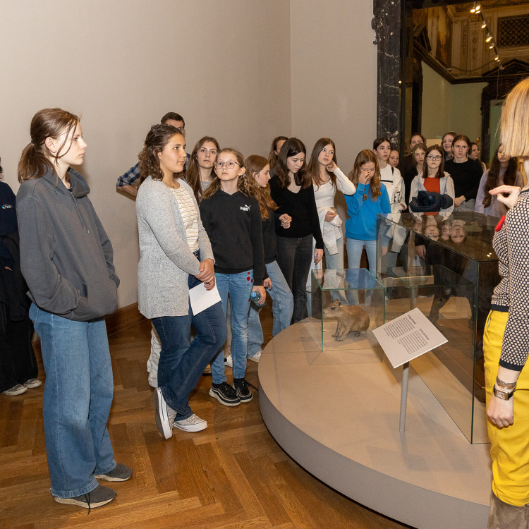 Girls' Day im Zeichen von Wissenschaft und Forschung: Bildungsminister begleitet Schülerinnen ins Naturhistorische Museum - Bild Nr. 12303